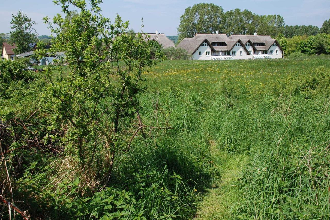 Strandhaus Lobbe - Fewo 45499 Exteriér fotografie